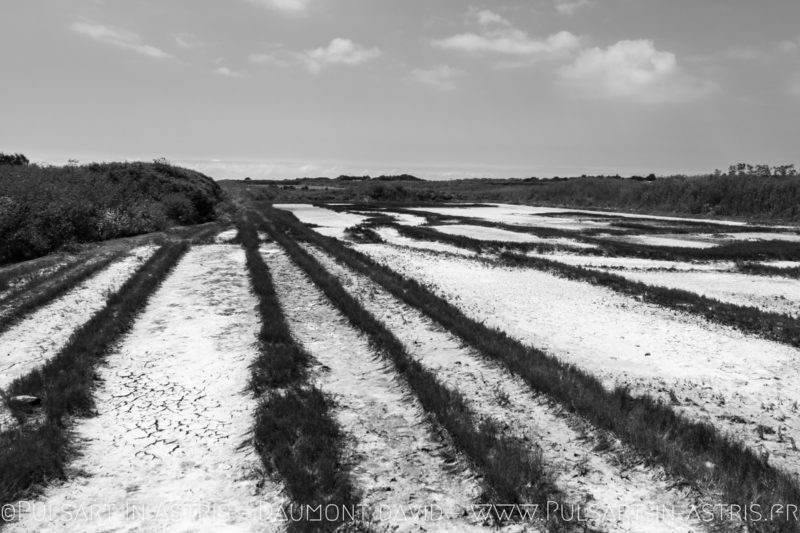 plage ile de ré cairn
