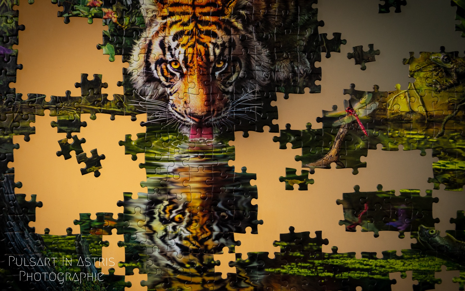 puzzle tigre