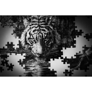 poster Puzzle Tigre n&b